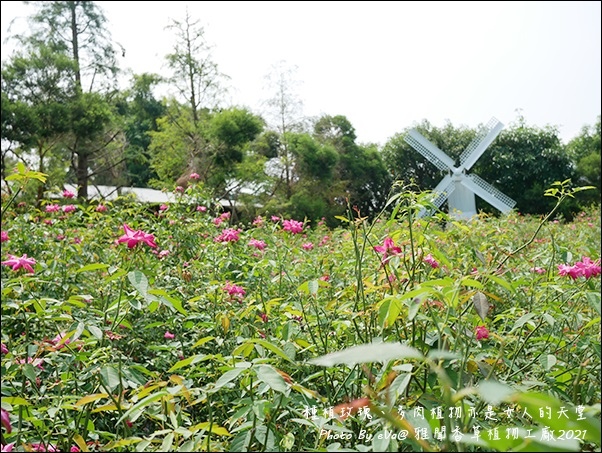 雅聞香草植物工廠-21.jpg