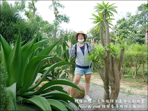 雅聞香草植物工廠-34.jpg