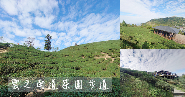 雲之南道茶園步道-01.jpg