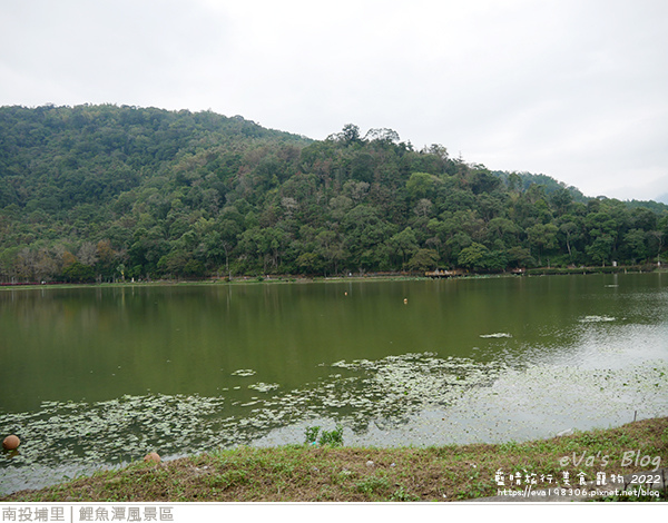 埔里鯉魚潭風景區-24.jpg