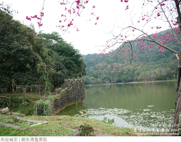 埔里鯉魚潭風景區-23.jpg