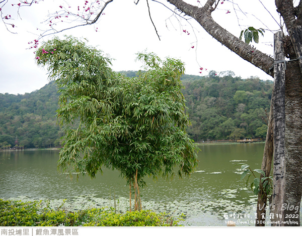 埔里鯉魚潭風景區-22.jpg