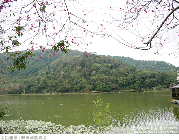 埔里鯉魚潭風景區-21.jpg