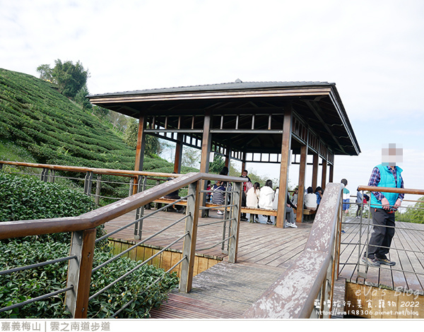 雲之南道茶園步道-22.jpg