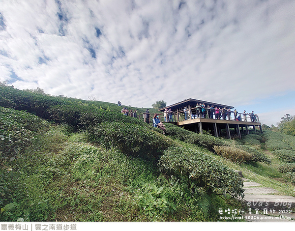 雲之南道茶園步道-25.jpg