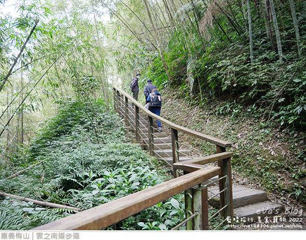 雲之南道茶園步道-31.jpg