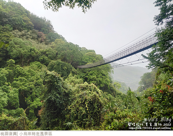 小烏來風景特定區-20.jpg