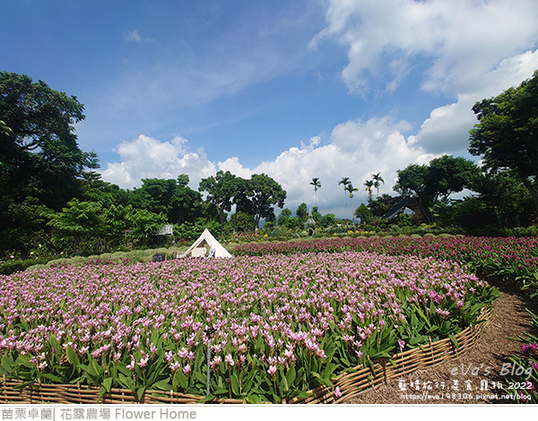 花露農場-80.jpg