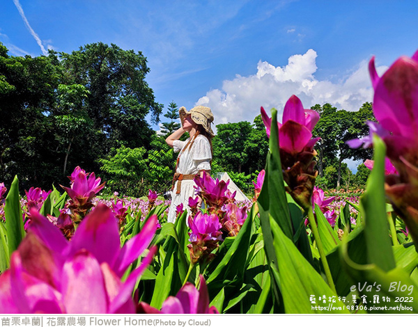 花露農場-87.jpg