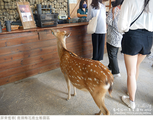 鹿境梅花鹿生態園區-24.jpg