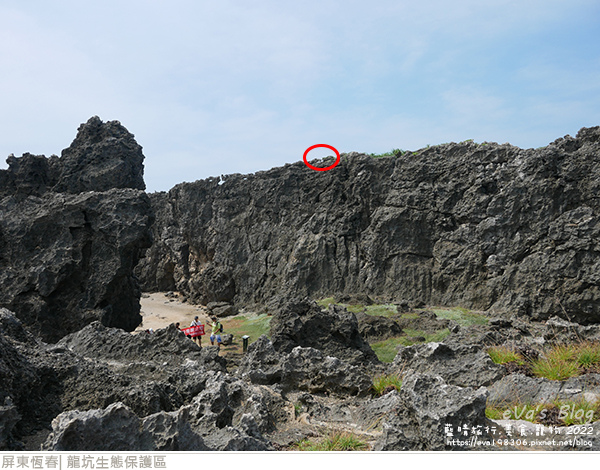 龍坑生態保護區-63.jpg