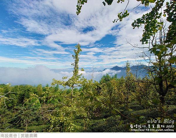 大崙山銀杏-20.jpg