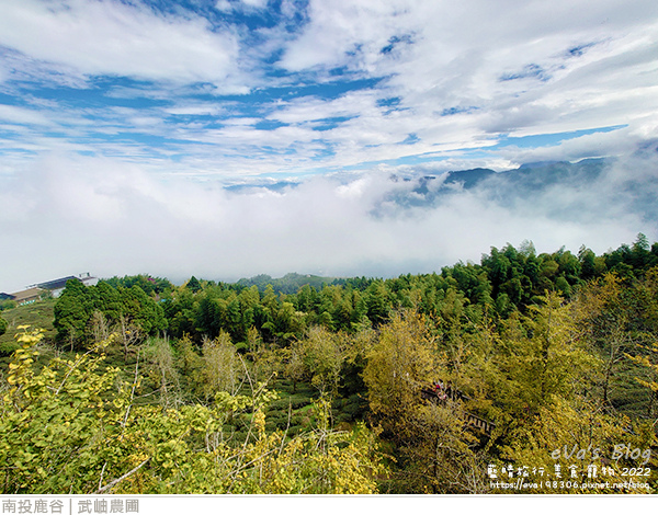 大崙山銀杏-23.jpg