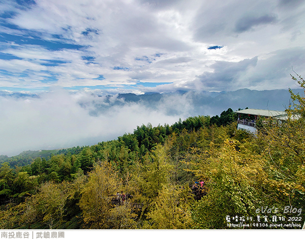 大崙山銀杏-25.jpg