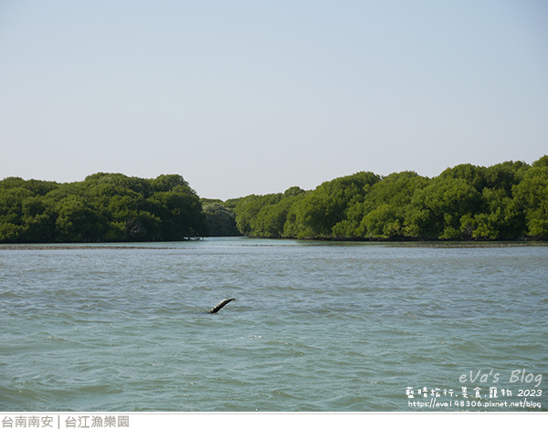 台江漁樂園-42.jpg