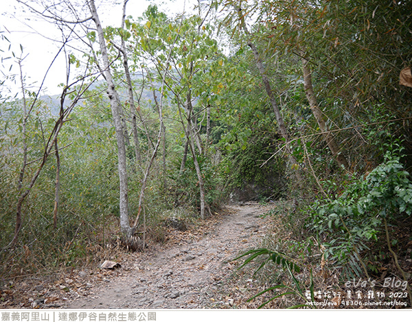 達娜伊谷自然生態公園-110.jpg