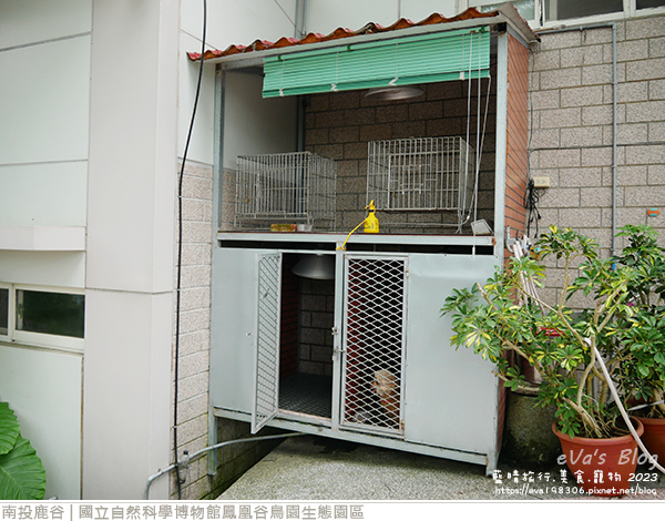 鳳凰谷鳥園生態園區-19.jpg