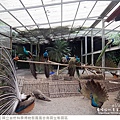 鳳凰谷鳥園生態園區-25.jpg