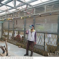 鳳凰谷鳥園生態園區-35.jpg