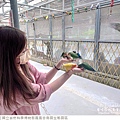 鳳凰谷鳥園生態園區-40.jpg