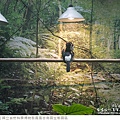 鳳凰谷鳥園生態園區-54.jpg
