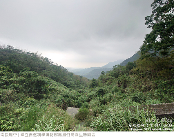 鳳凰谷鳥園生態園區-69.jpg