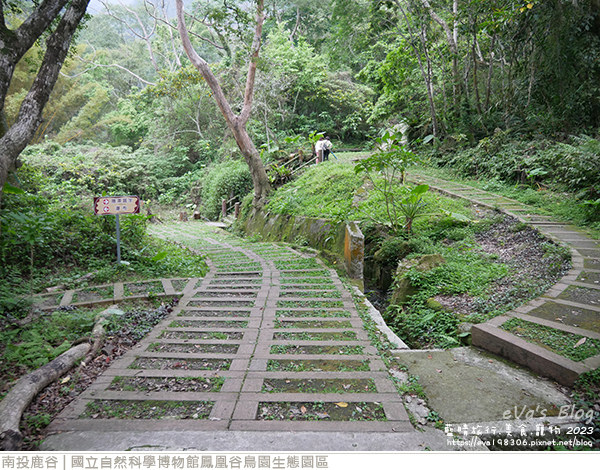 鳳凰谷鳥園生態園區-73.jpg