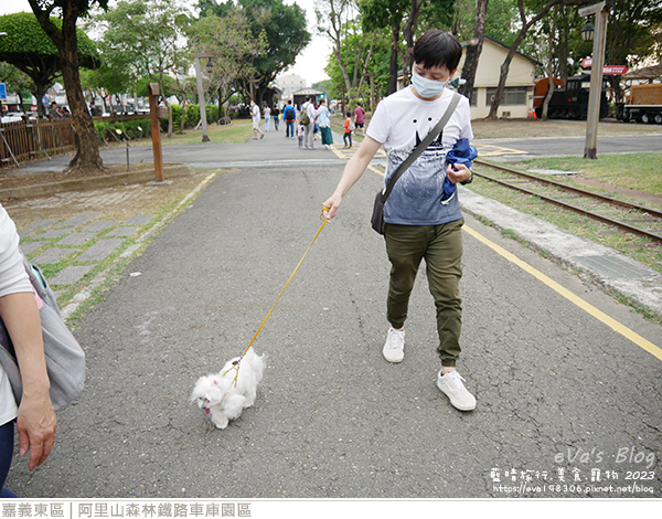 阿里山森林鐵路車庫園區-09.jpg