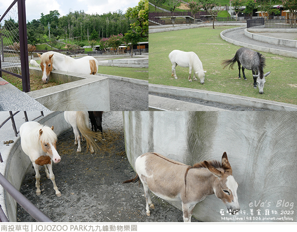 JOJOZOO PARK九九峰動物樂園-27.jpg