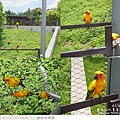 JOJOZOO PARK九九峰動物樂園-24.jpg