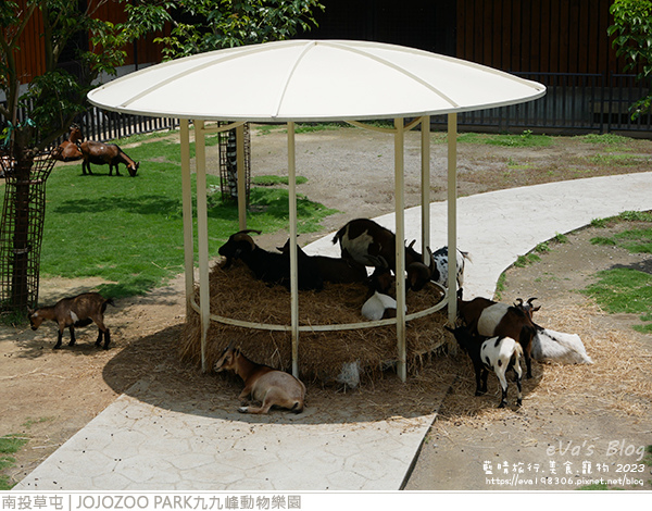 JOJOZOO PARK九九峰動物樂園-29.jpg