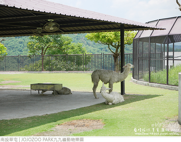 JOJOZOO PARK九九峰動物樂園-31.jpg