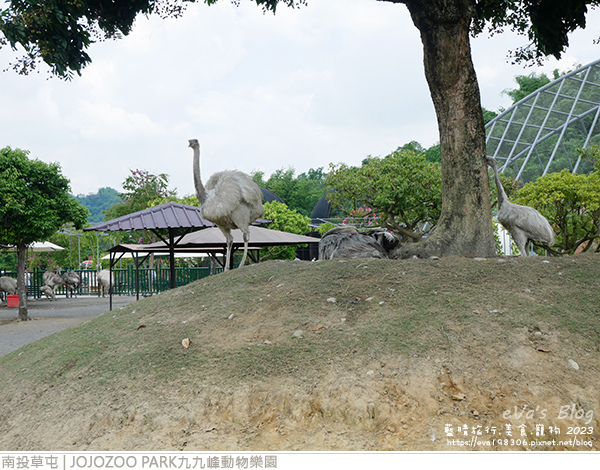 JOJOZOO PARK九九峰動物樂園-49.jpg