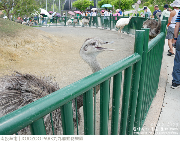 JOJOZOO PARK九九峰動物樂園-50.jpg