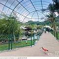 JOJOZOO PARK九九峰動物樂園-53.jpg