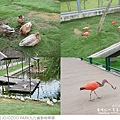 JOJOZOO PARK九九峰動物樂園-55.jpg