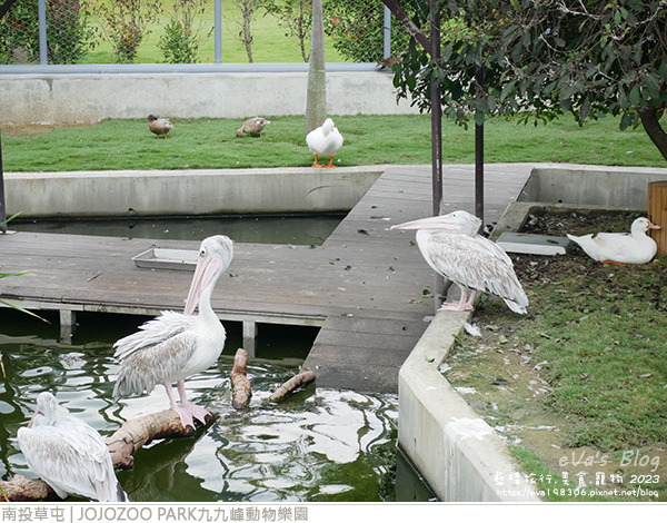 JOJOZOO PARK九九峰動物樂園-57.jpg