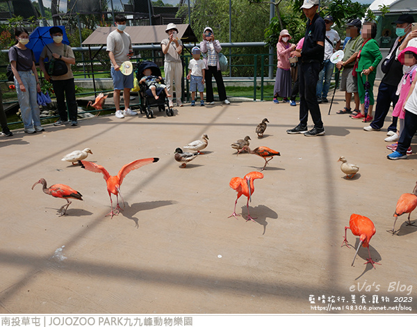 JOJOZOO PARK九九峰動物樂園-59.jpg