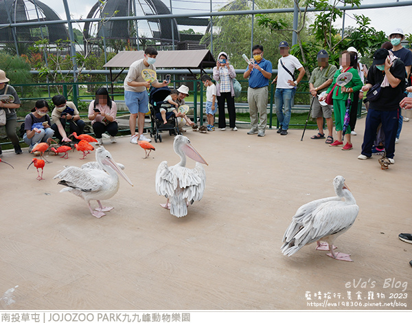 JOJOZOO PARK九九峰動物樂園-62.jpg