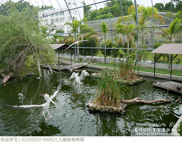 JOJOZOO PARK九九峰動物樂園-64.jpg