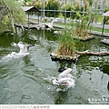 JOJOZOO PARK九九峰動物樂園-66.jpg