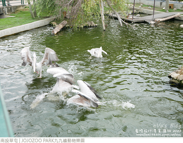 JOJOZOO PARK九九峰動物樂園-68.jpg