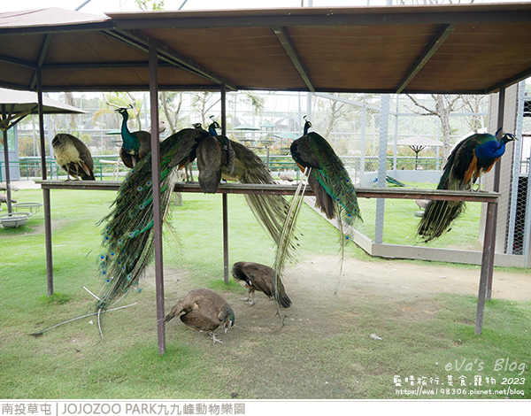 JOJOZOO PARK九九峰動物樂園-72.jpg