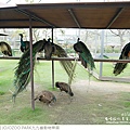 JOJOZOO PARK九九峰動物樂園-72.jpg