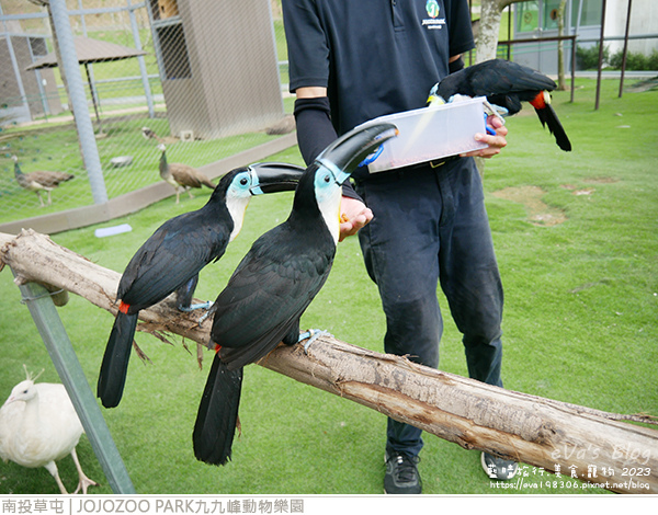 JOJOZOO PARK九九峰動物樂園-77.jpg