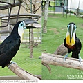 JOJOZOO PARK九九峰動物樂園-78.jpg