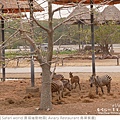 Safari world 賽福瑞動物園和鳥巢餐廳-13.jpg