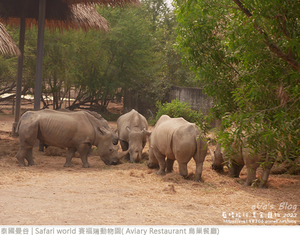 Safari world 賽福瑞動物園和鳥巢餐廳-14.jpg