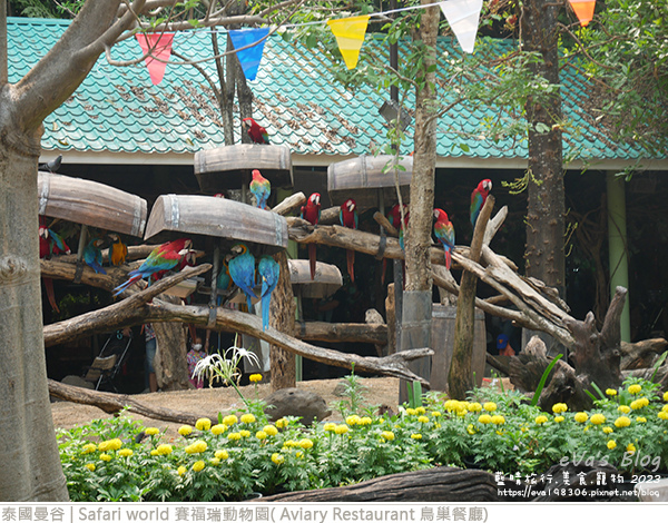 Safari world 賽福瑞動物園和鳥巢餐廳-30.jpg