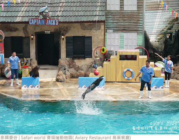 Safari world 賽福瑞動物園和鳥巢餐廳-37.jpg